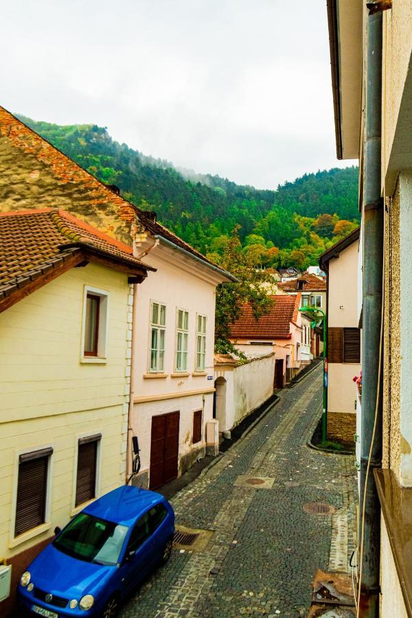 Ardor Apt - Bright And Secluded Apartment In The Heart Of Old Town Brașov Exterior foto